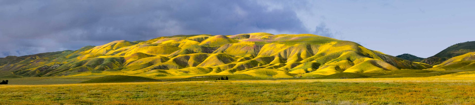 Temblor-Sunset-1904_6491-6497