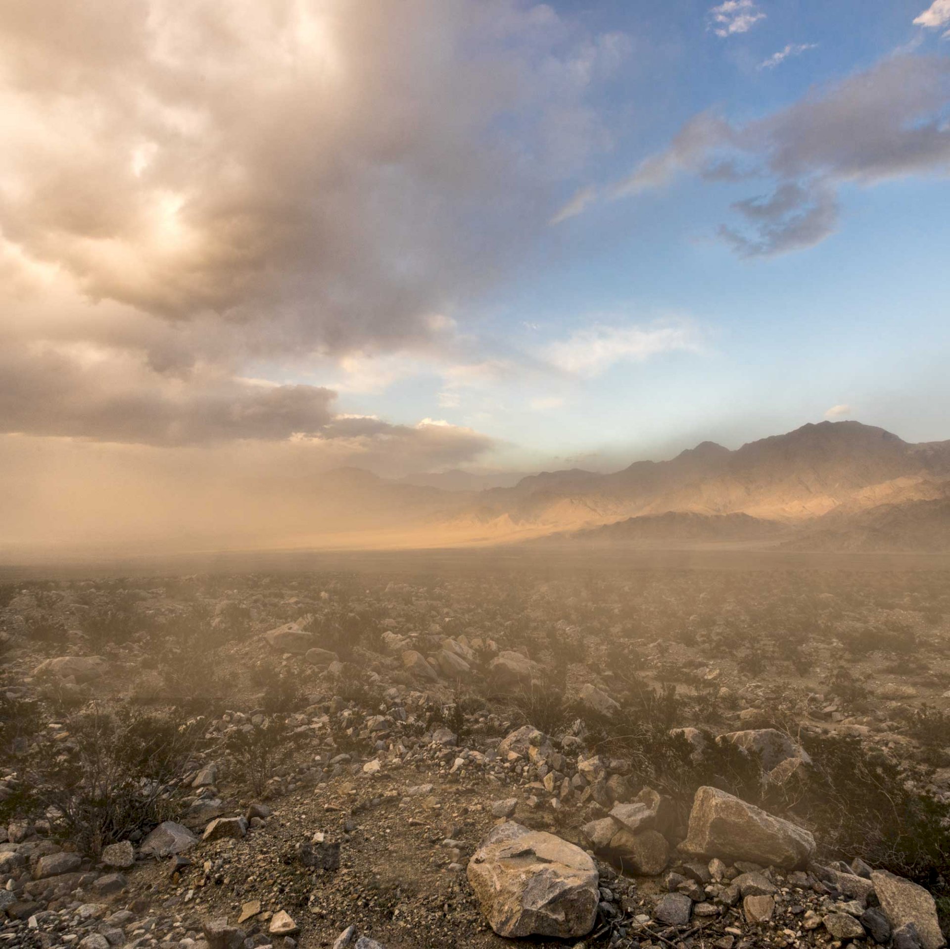 Salt Lake Sandstorm