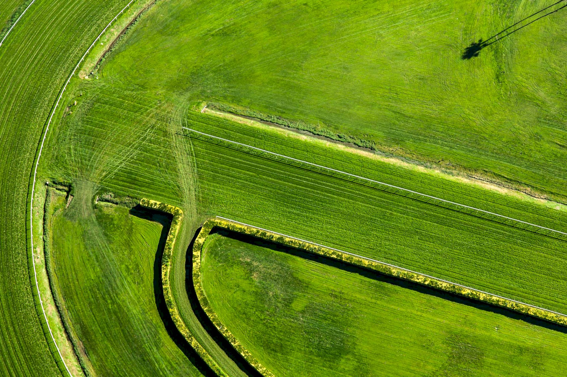 Golden Gate Fields