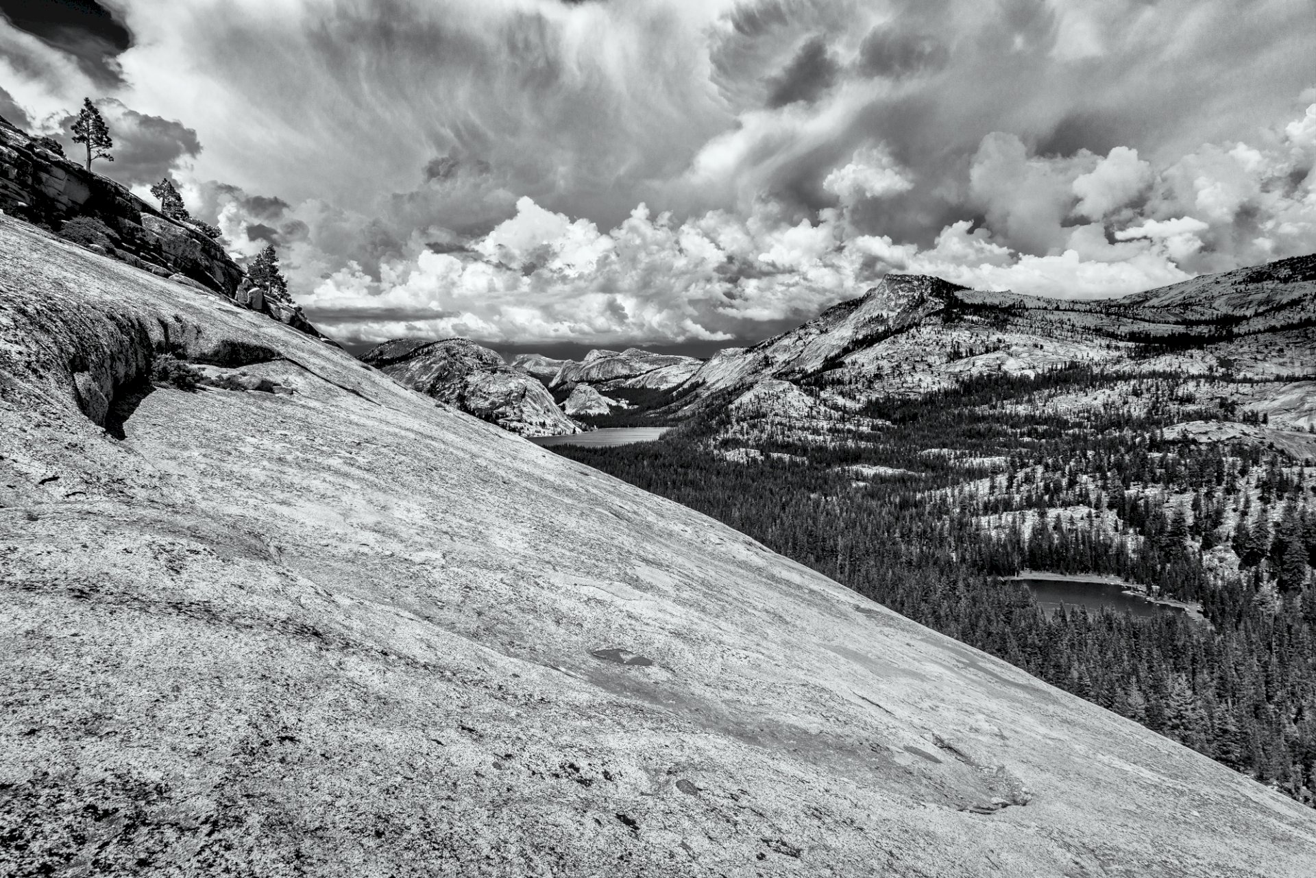 Olmstead Dome