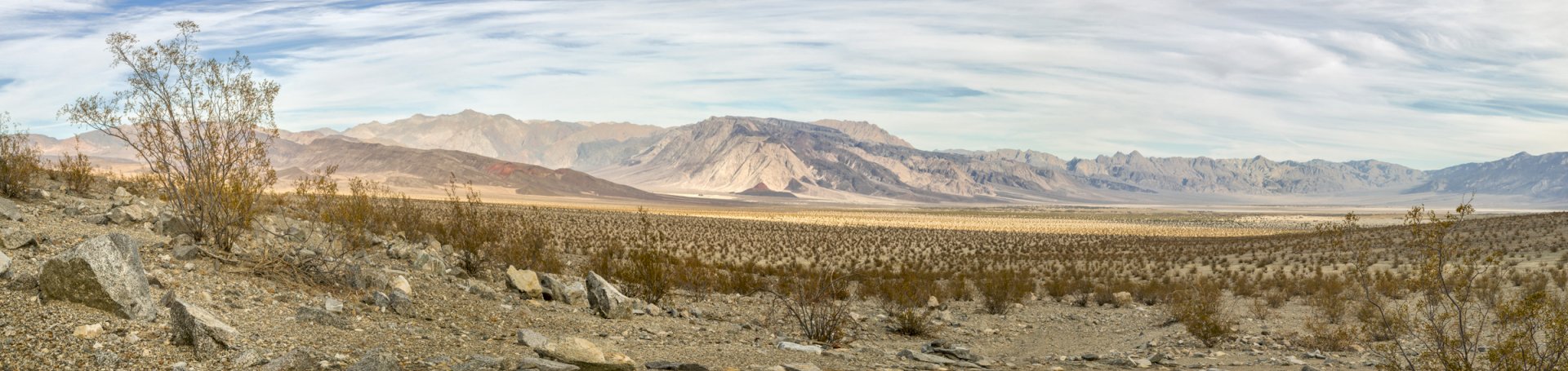 Saline Valley Floor