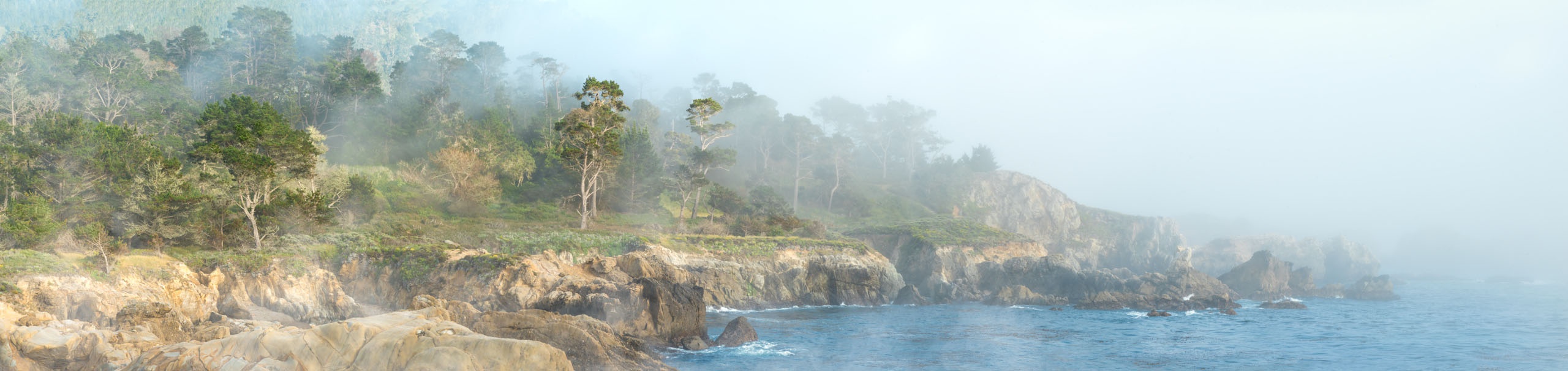 Pt-Lobos-1705_1817-1821